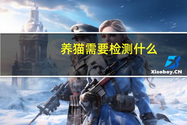 养猫需要检测什么