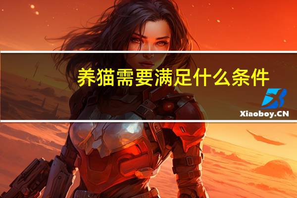 养猫需要满足什么条件