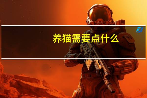 养猫需要点什么