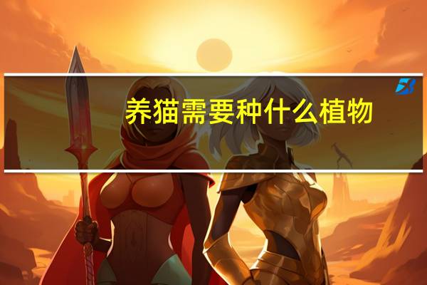 养猫需要种什么植物