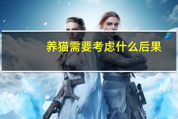 养猫需要考虑什么后果