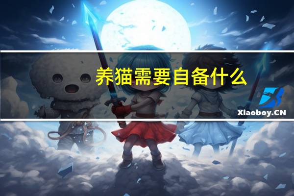 养猫需要自备什么