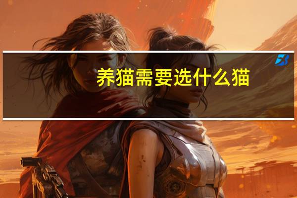 养猫需要选什么猫