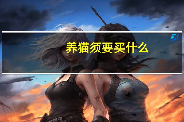 养猫须要买什么