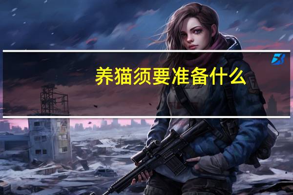 养猫须要准备什么