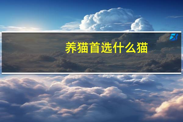 养猫首选什么猫