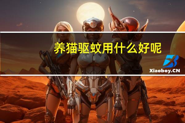 养猫驱蚊用什么好呢