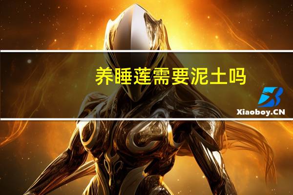 养睡莲需要泥土吗