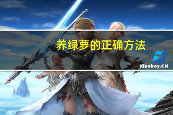 养绿萝的正确方法