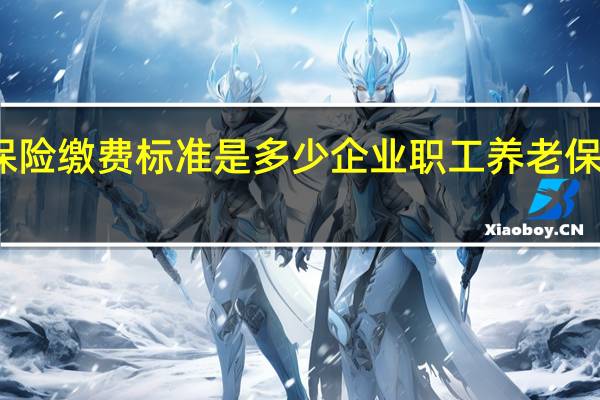 养老保险缴费标准是多少　企业职工养老保险缴费标准