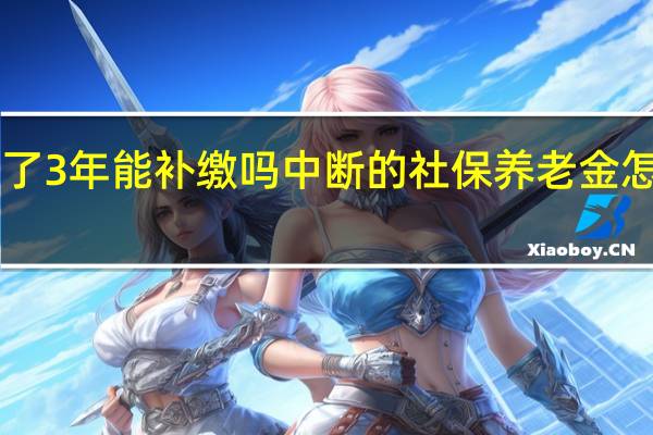 养老金断缴了3年能补缴吗中断的社保养老金怎么补缴<meta　