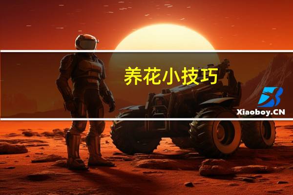 养花小技巧：大蒜也可以用来养花