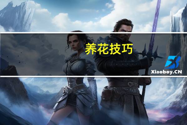 养花技巧：用这些东西垫花盆底可以避免烂根黄叶