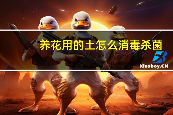 养花用的土怎么消毒杀菌
