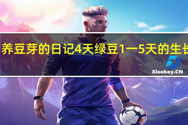 养豆芽的日记4天 绿豆1一5天的生长日记