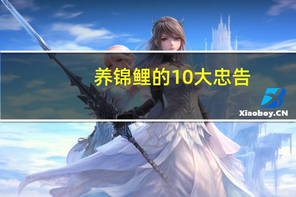 养锦鲤的10大忠告