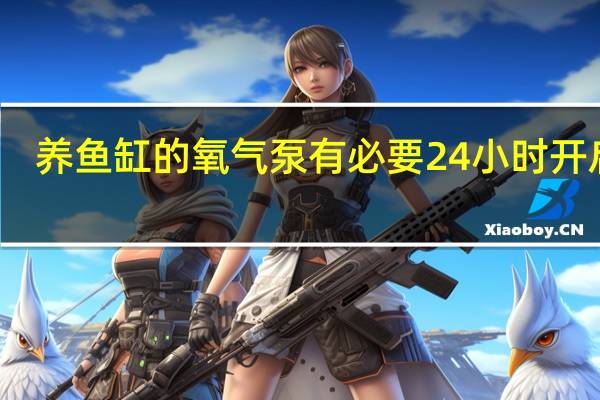 养鱼缸的氧气泵有必要24小时开启吗?