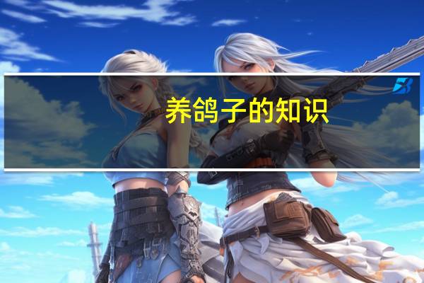 养鸽子的知识，你知道多少