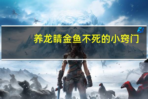 养龙睛金鱼不死的小窍门