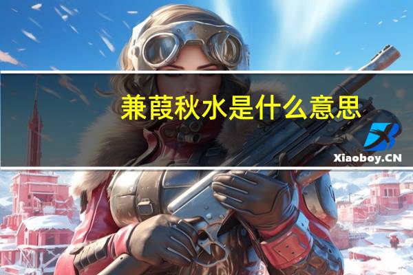 兼葭秋水是什么意思