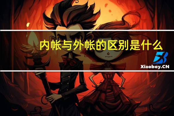 内帐与外帐的区别是什么