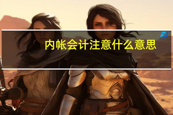 内帐会计注意什么意思