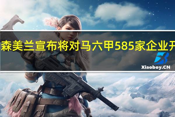 内格里森美兰宣布将对马六甲585家企业开展审计工作