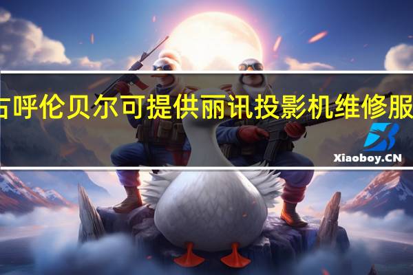 内蒙古呼伦贝尔可提供丽讯投影机维修服务地址在哪