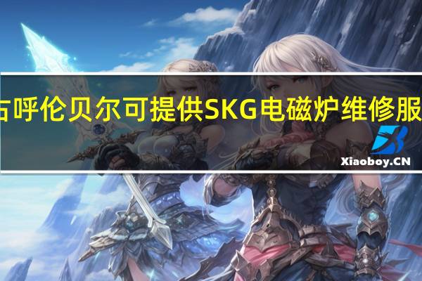 内蒙古呼伦贝尔可提供SKG电磁炉维修服务地址在哪