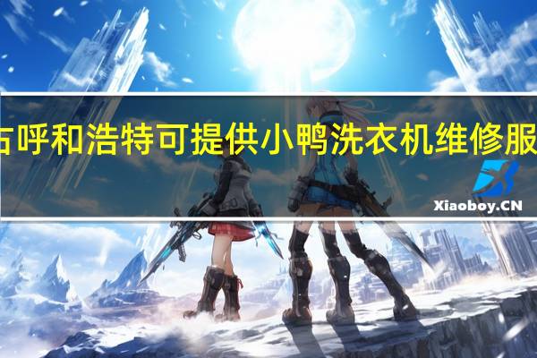 内蒙古呼和浩特可提供小鸭洗衣机维修服务地址在哪
