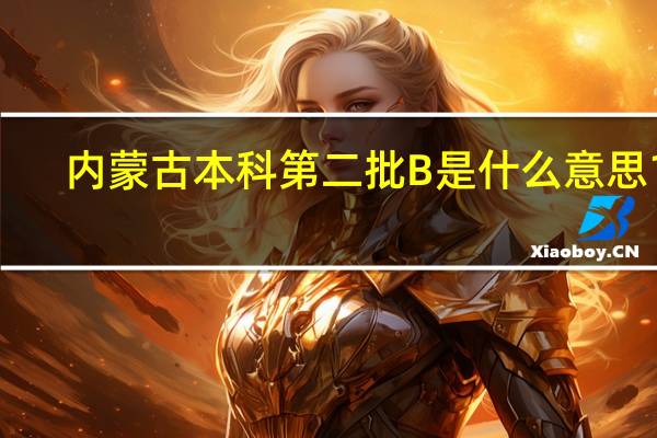 内蒙古本科第二批B是什么意思10