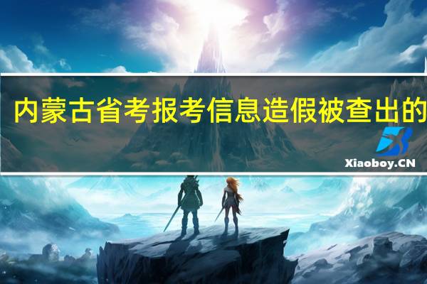 内蒙古省考报考信息造假被查出的后果