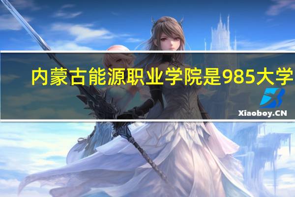 内蒙古能源职业学院是985大学吗