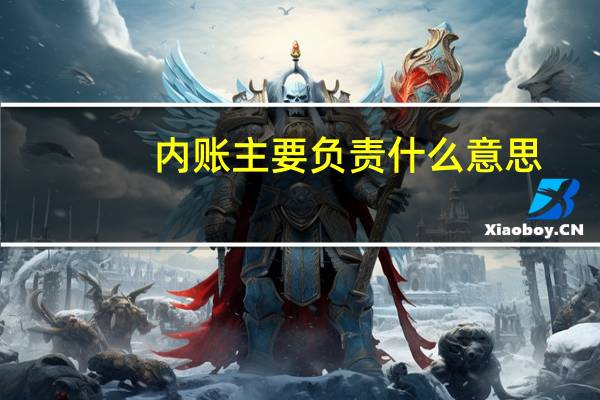 内账主要负责什么意思