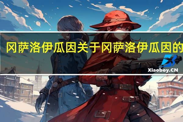 冈萨洛 伊瓜因 关于冈萨洛 伊瓜因的介绍