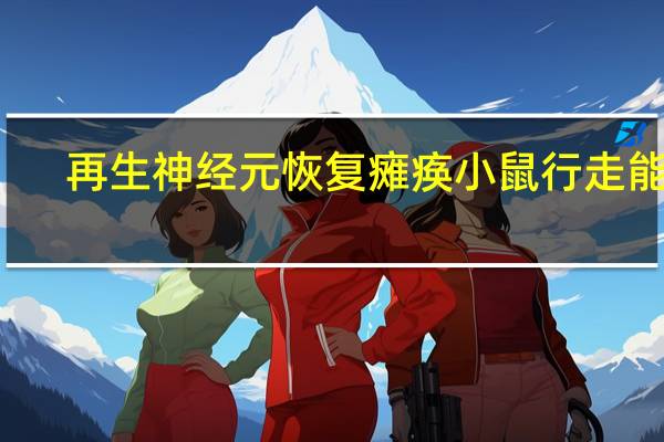 再生神经元恢复瘫痪小鼠行走能力