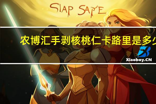 农博汇 手剥核桃仁卡路里是多少