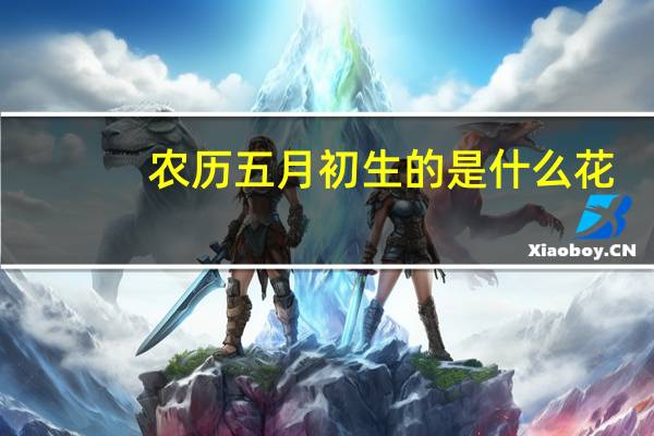 农历五月初生的是什么花