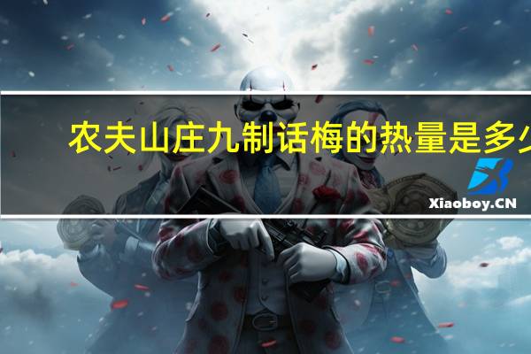 农夫山庄九制话梅的热量是多少