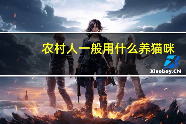 农村人一般用什么养猫咪