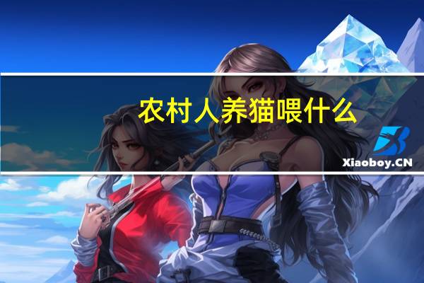 农村人养猫喂什么