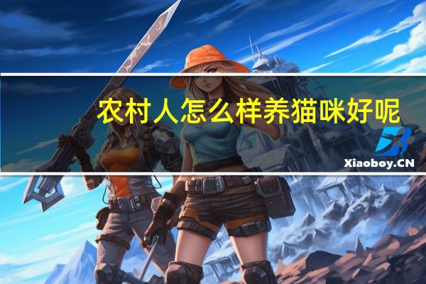 农村人怎么样养猫咪好呢