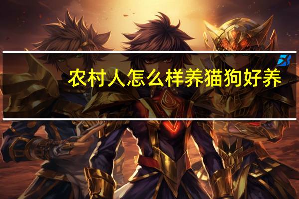农村人怎么样养猫狗好养