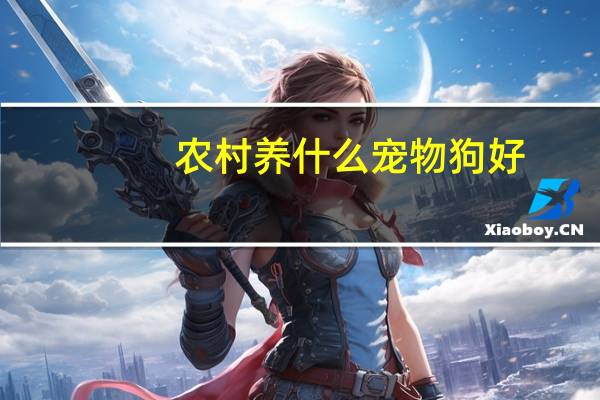 农村养什么宠物狗好