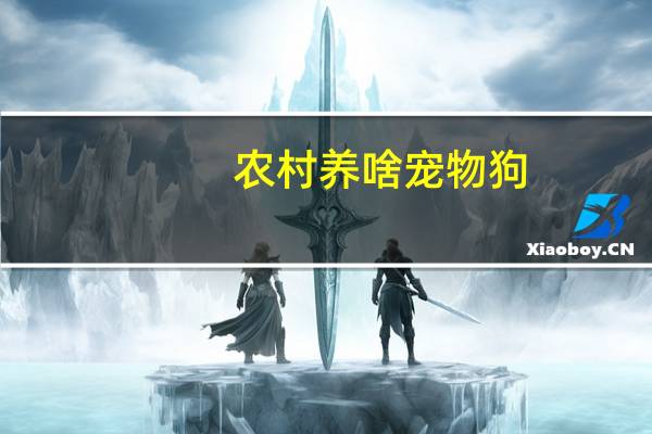 农村养啥宠物狗