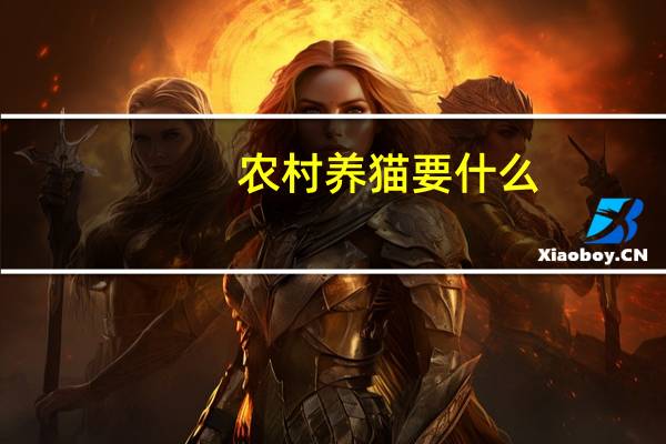 农村养猫要什么
