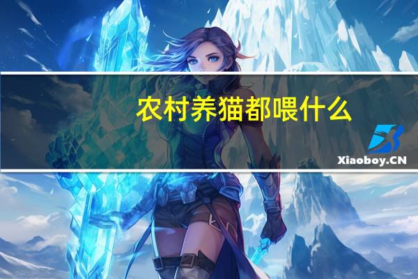 农村养猫都喂什么