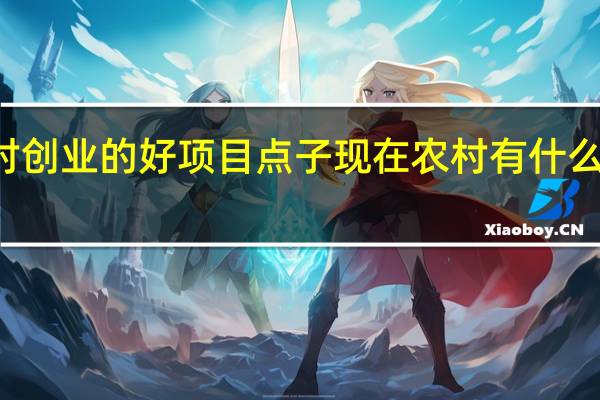 农村创业的好项目点子 现在农村有什么创业项目