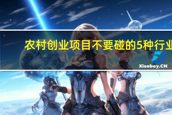 农村创业项目不要碰的5种行业