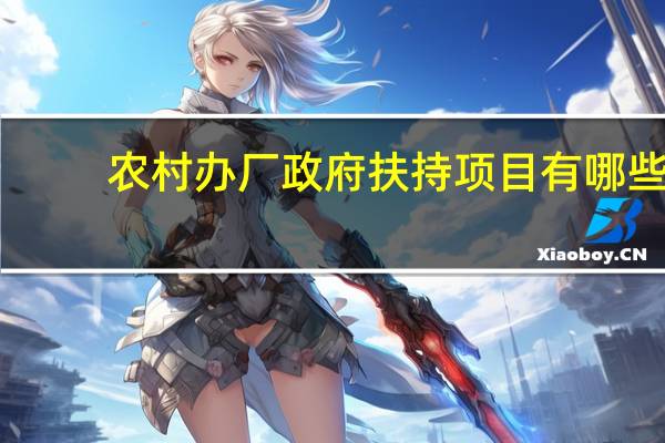 农村办厂政府扶持项目有哪些（农村办厂）